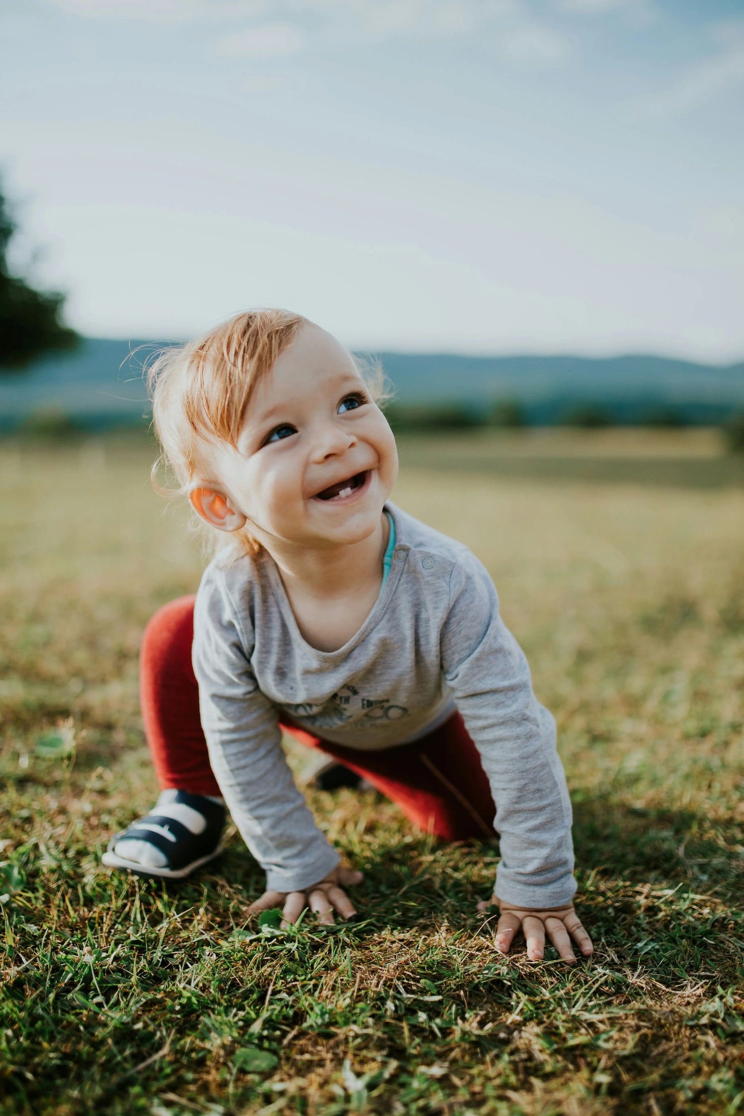 Bébé