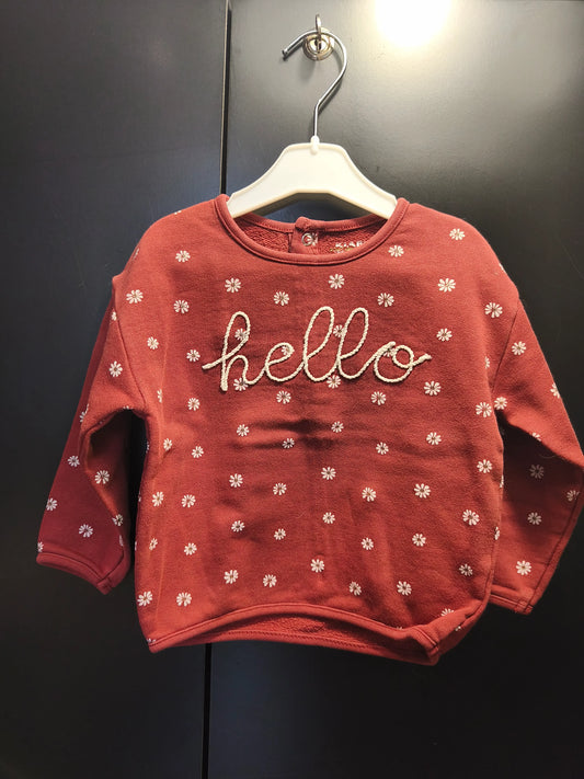 Pull terracotta foncé « Hello » à marguerites – Kiabi 18 mois ref 359