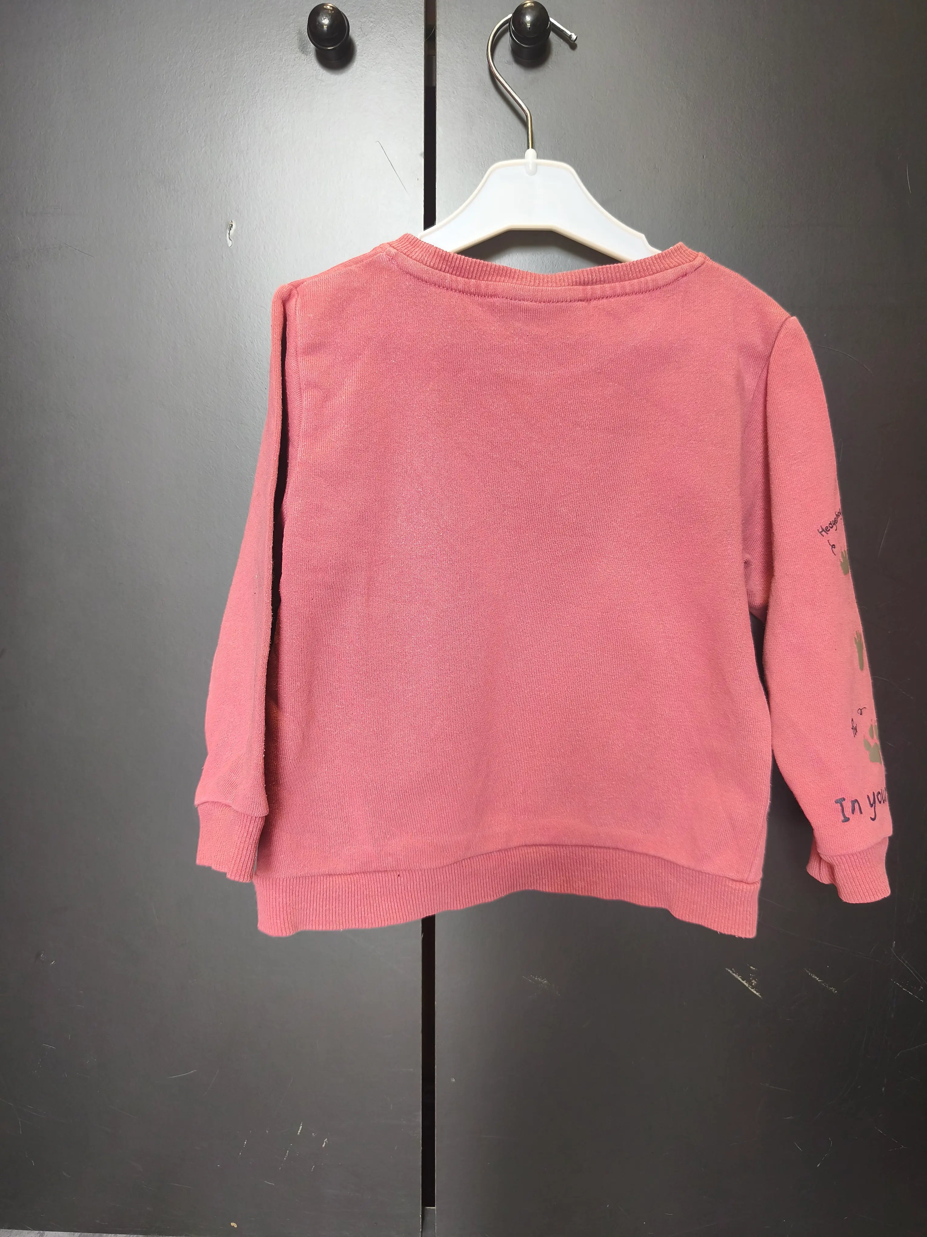 Pull Name It 18-24 mois - Brique avec renard & message "Meet More Friends"