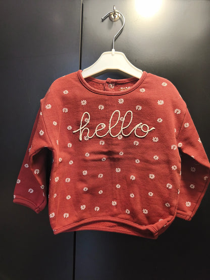Pull terracotta foncé « Hello » à marguerites – Kiabi 18 mois ref 359